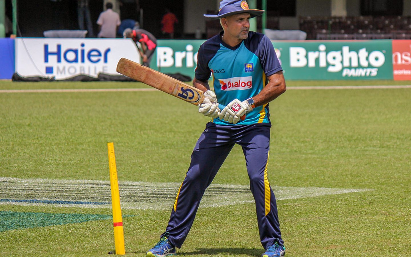 Bat in the nets